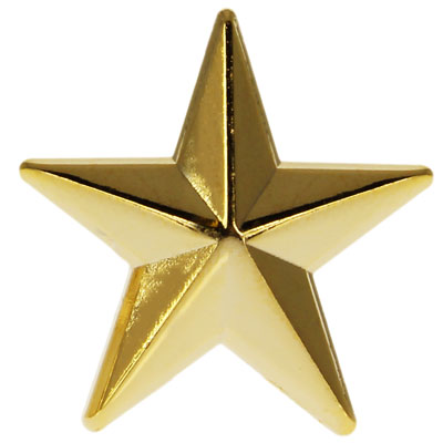 Sterling Gifts 5/8 inch Gold Star Pins, Gold Star Lapel Pin