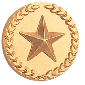Gold Star Lapel Buttons
