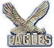 Eagles Team Pin Gold